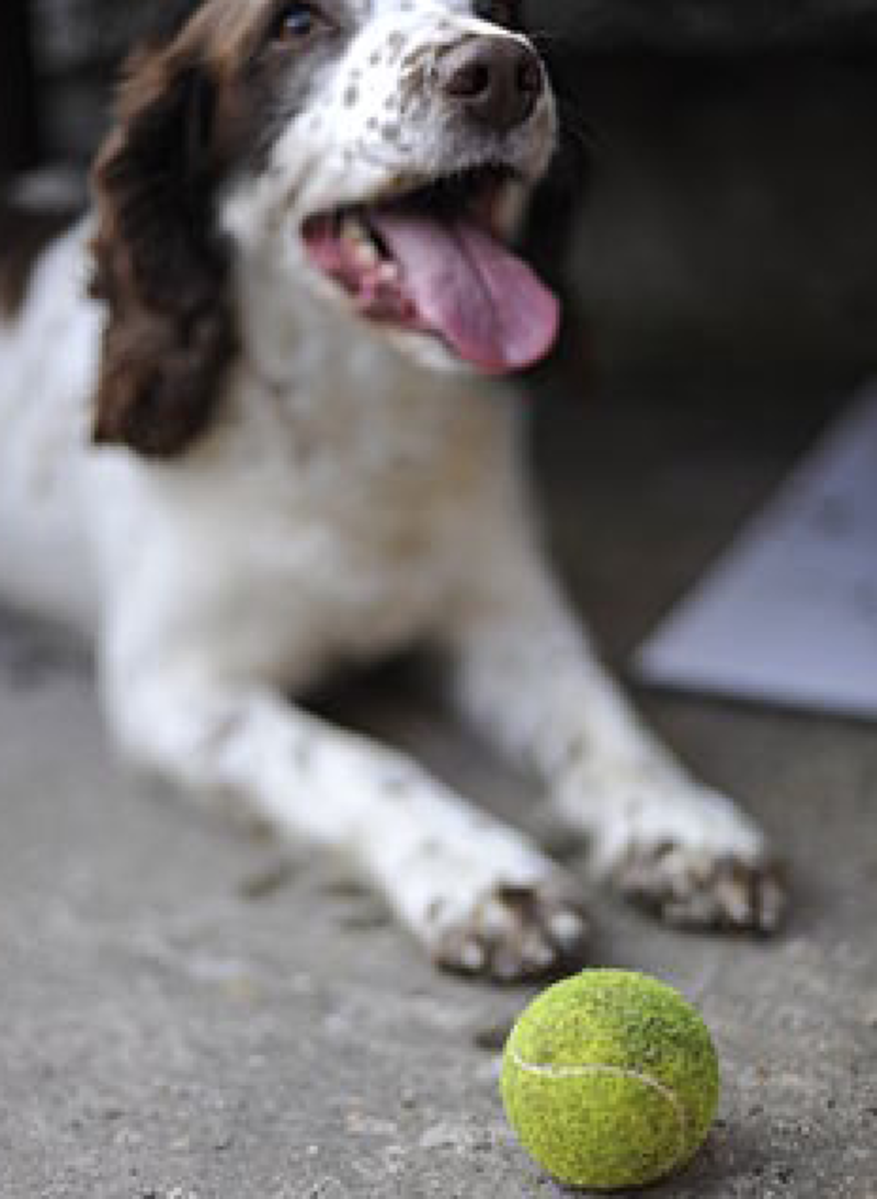 Second grade Lesson Step One, Step Two | BetterLesson