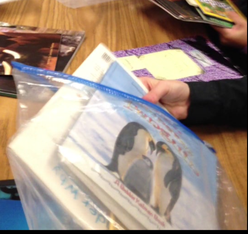 Fifth grade Lesson Creating Book Baggies of Informational Texts