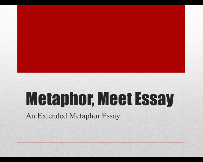 Extended metaphor essay