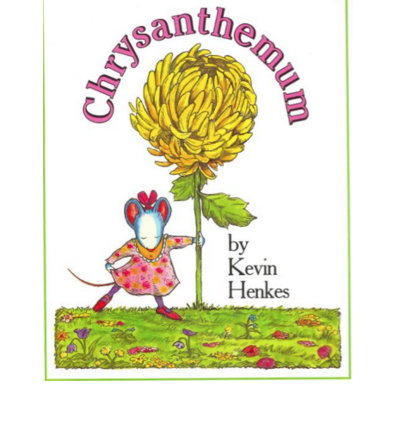 Kindergarten Lesson Chrysanthemum BetterLesson