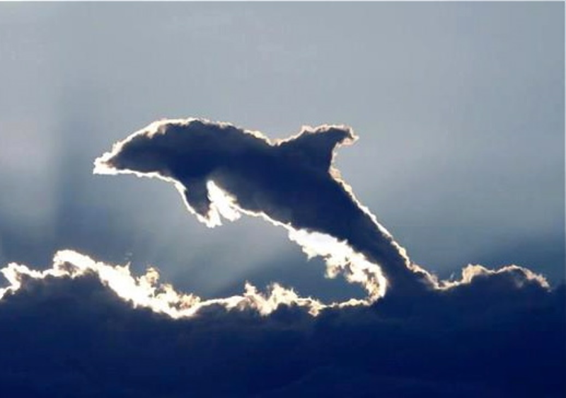 First grade Lesson Identifying and Writing Opinions About Clouds Using