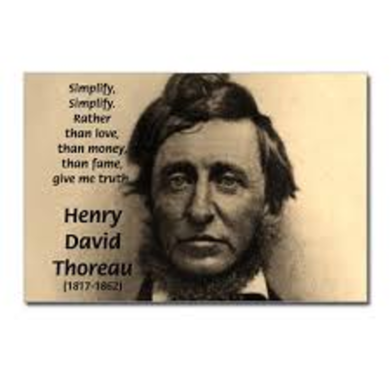 Thoreau economy summary picture