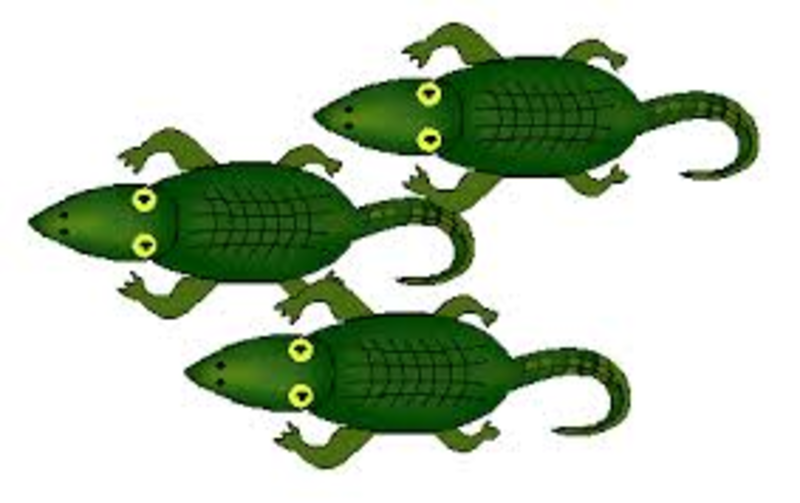 Kindergarten Lesson Counting Crocodiles | BetterLesson