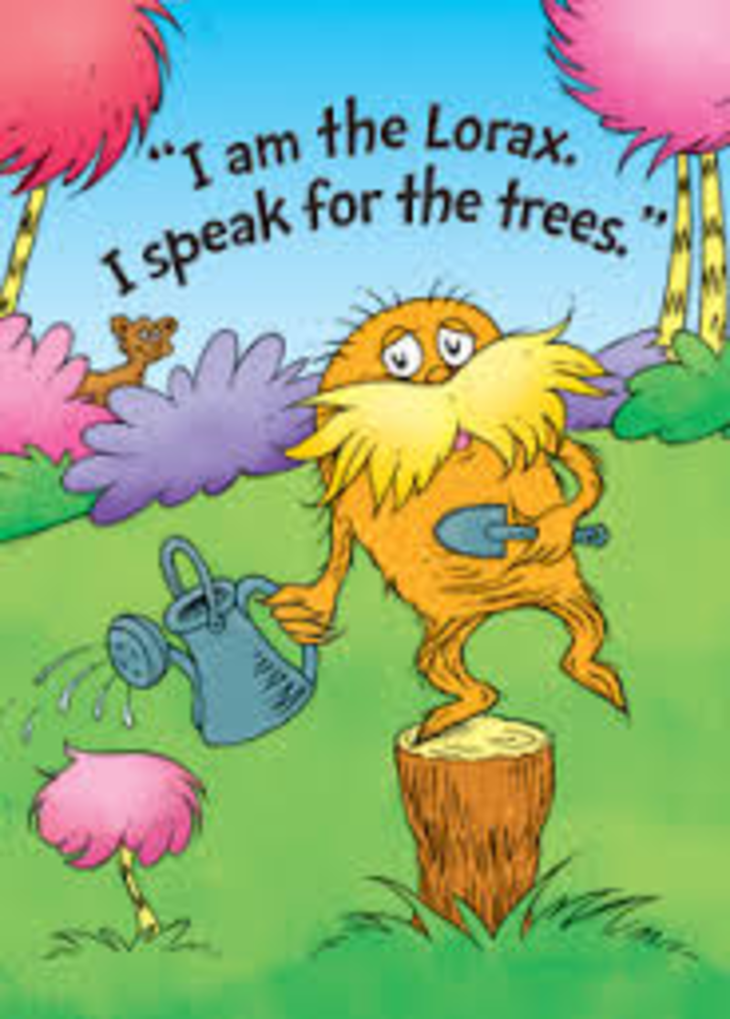 First grade Lesson The Lorax Day One BetterLesson