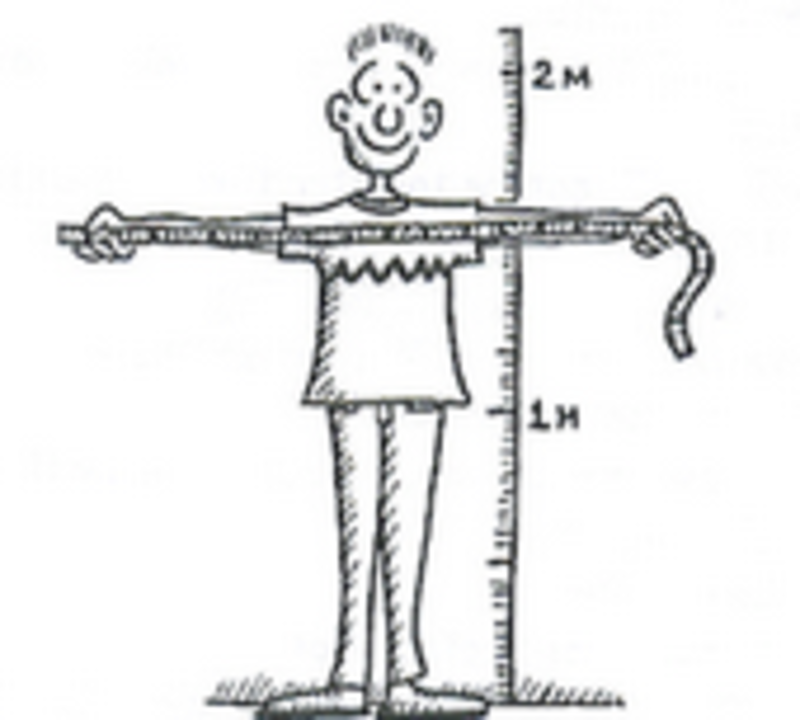Sixth grade Lesson Arm Span Day 2 BetterLesson