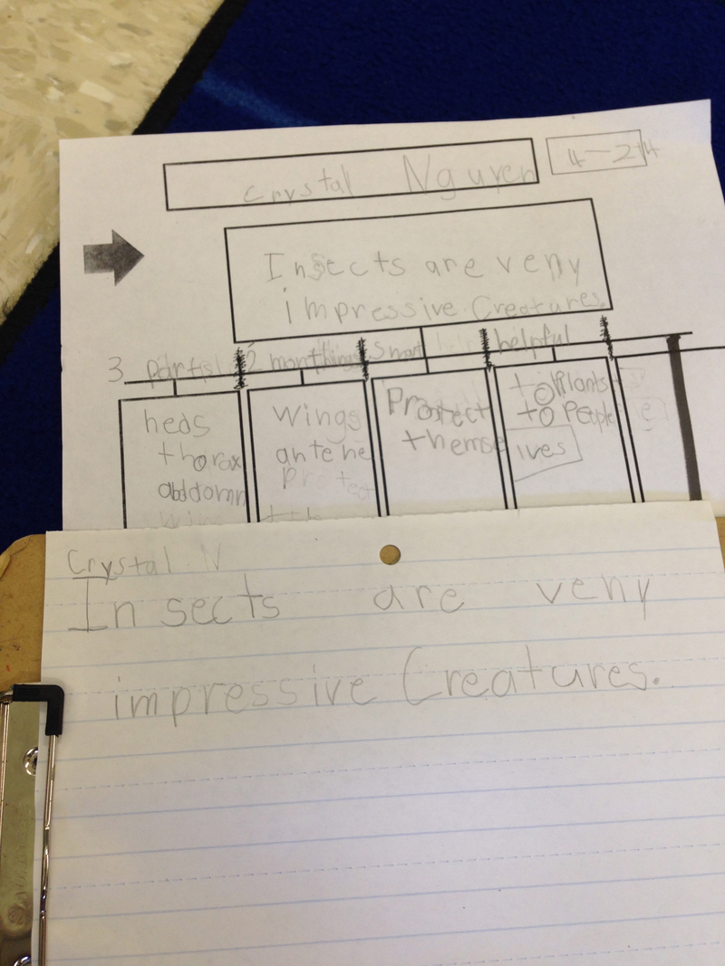 Kindergarten Lesson Topic Sentences | BetterLesson