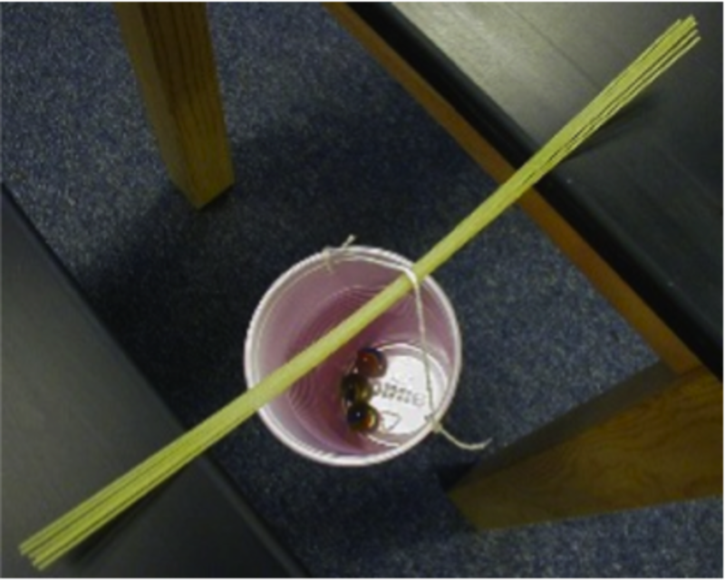 Tenth grade Lesson Spaghetti Bridge Lab BetterLesson