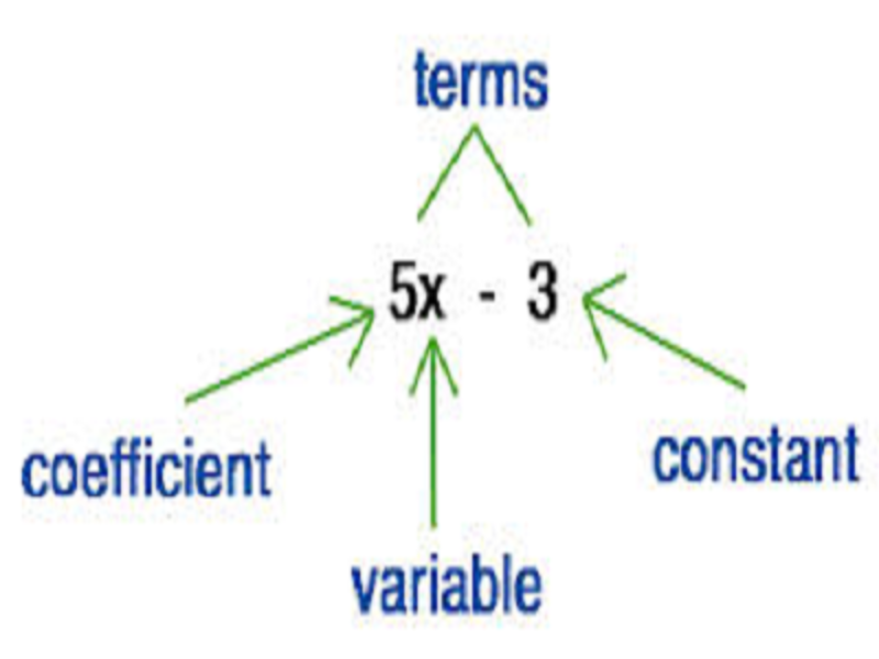 Sixth grade Lesson Algebraic Expressions and the Real-World