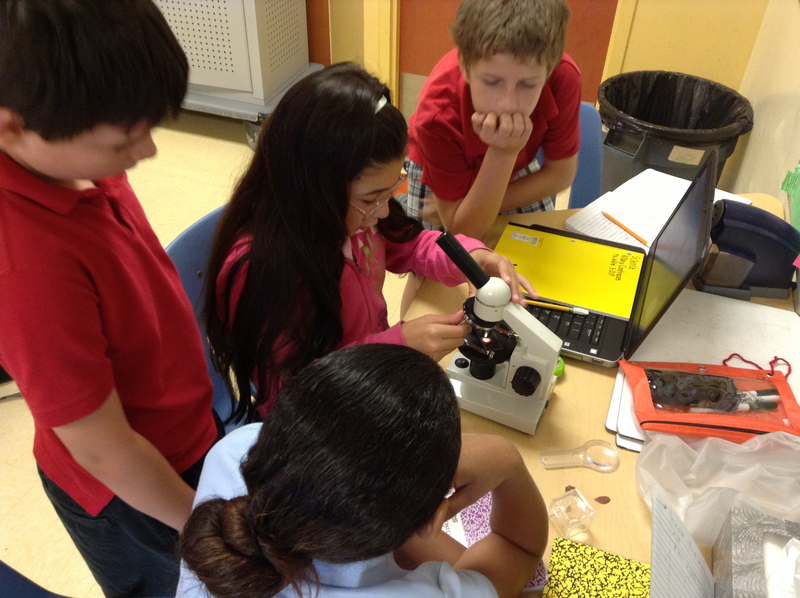 Fifth grade Lesson Learning About Science Tools BetterLesson