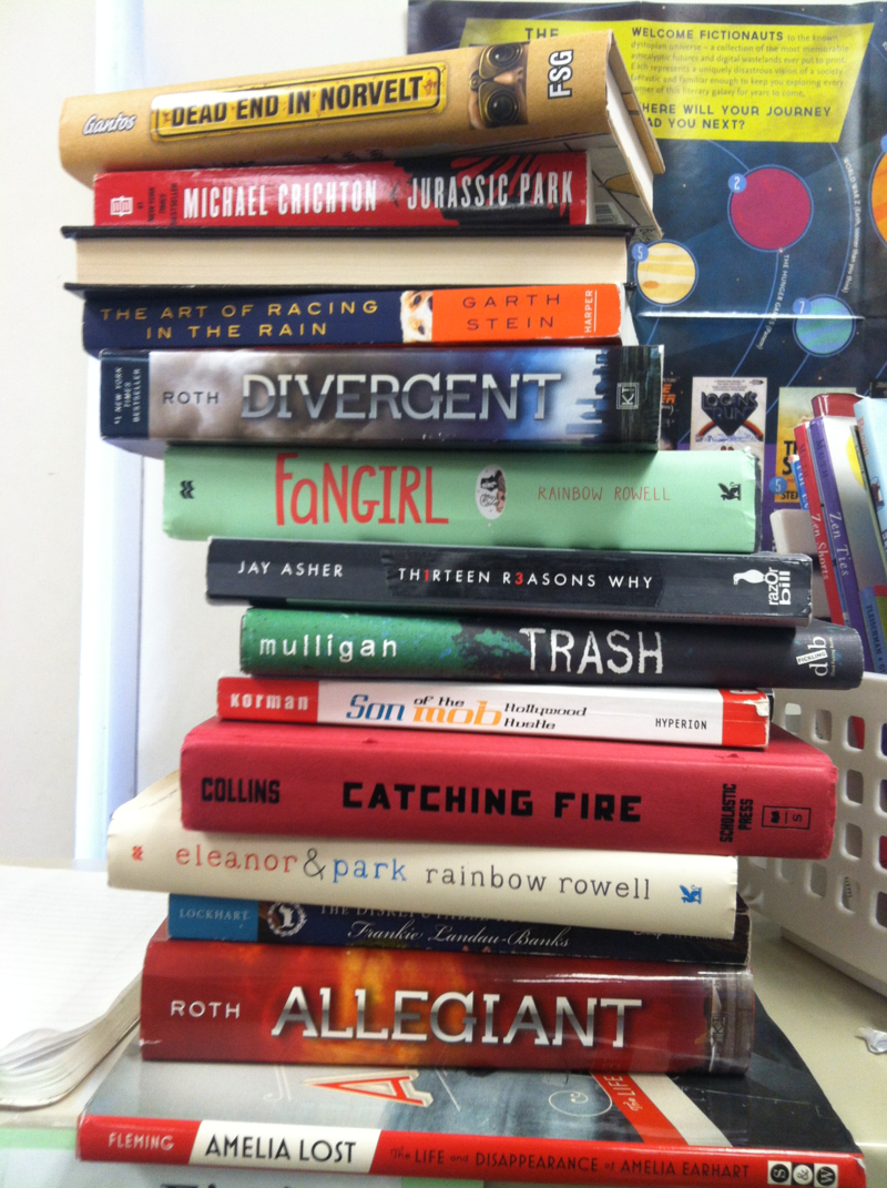 Eighth grade Lesson Independent Reading Reflection Essay for Marking