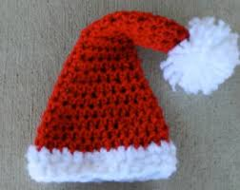 Kindergarten Lesson Should Animals Wear Clothes? 2 of 5