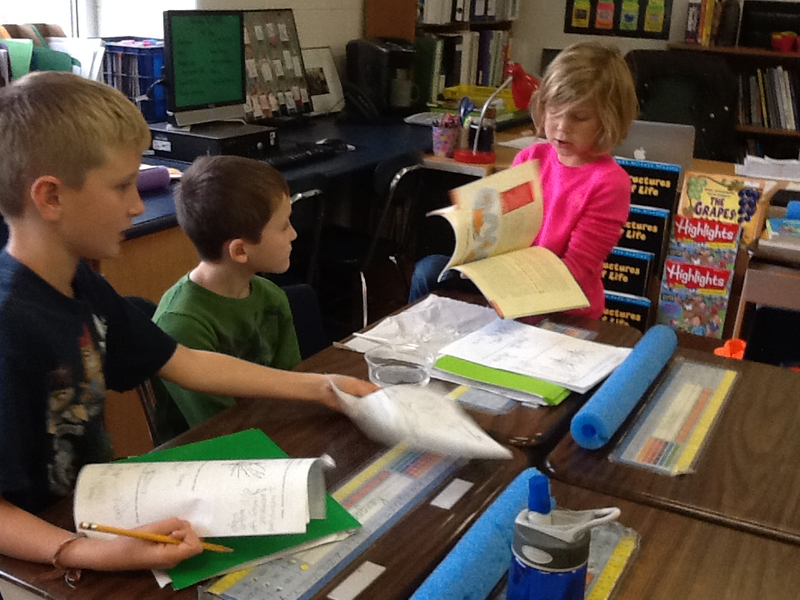 Third grade Lesson Life Science Assessment: Crayfish