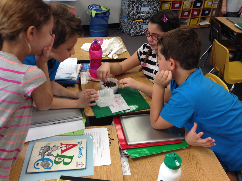 Third grade Lesson Why Use a Seed Sprouter? | BetterLesson