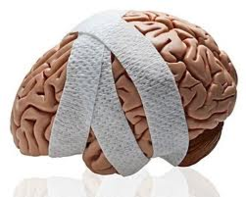 Eighth grade Lesson Brain Interactive | BetterLesson