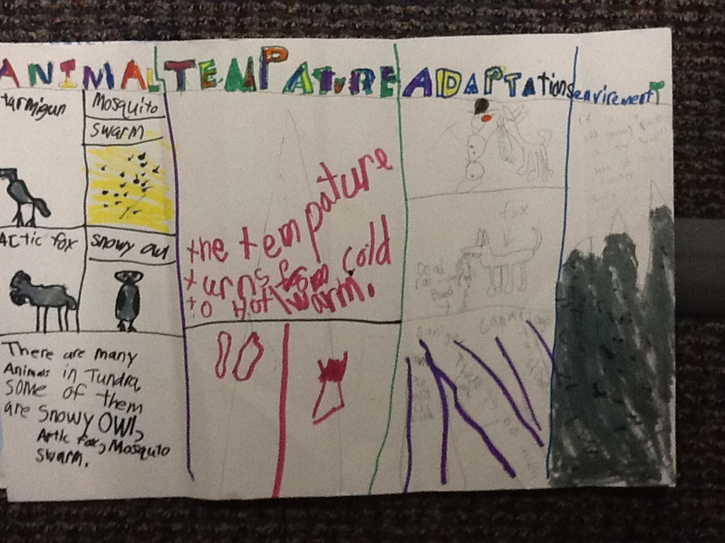 Third grade Lesson Biomes Experts | BetterLesson