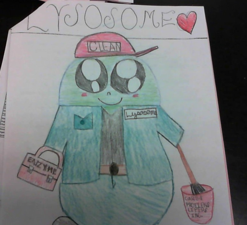 Ninth grade Lesson Personification Poetry Of Cell Organelles (Day 1 of 2)