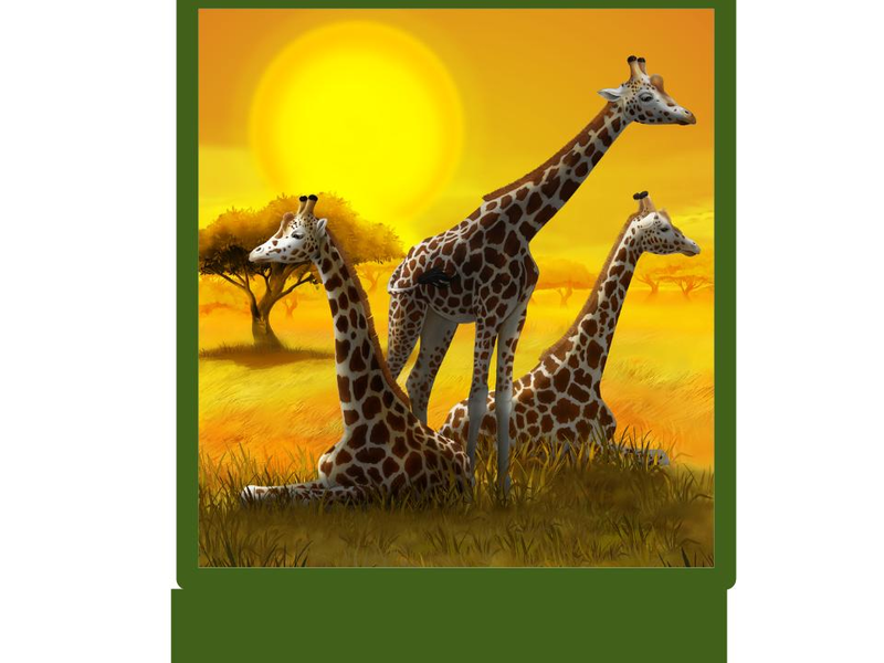 Third grade Lesson What Made the Giraffe Decide to be Tall?