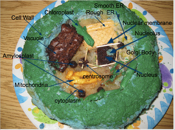 Animal Cell Project Jello