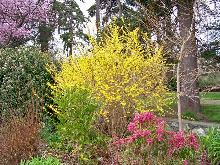 Sample Essay on “Spring Season” in Hindi