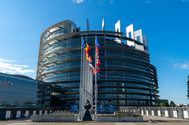 Die Blaue Karte EU