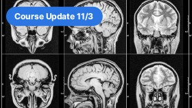 MRI Image Production: Physical Principles of Image Formation