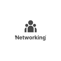 Networking icon