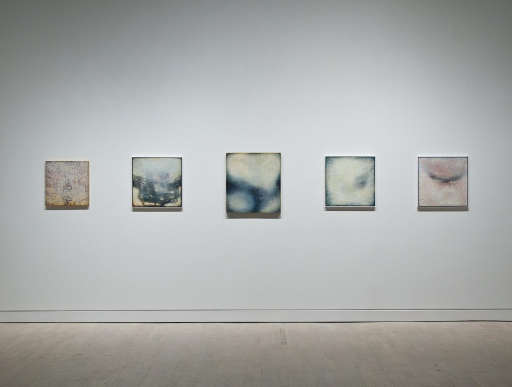 Neysa Grassi Exhibitions Locks Gallery