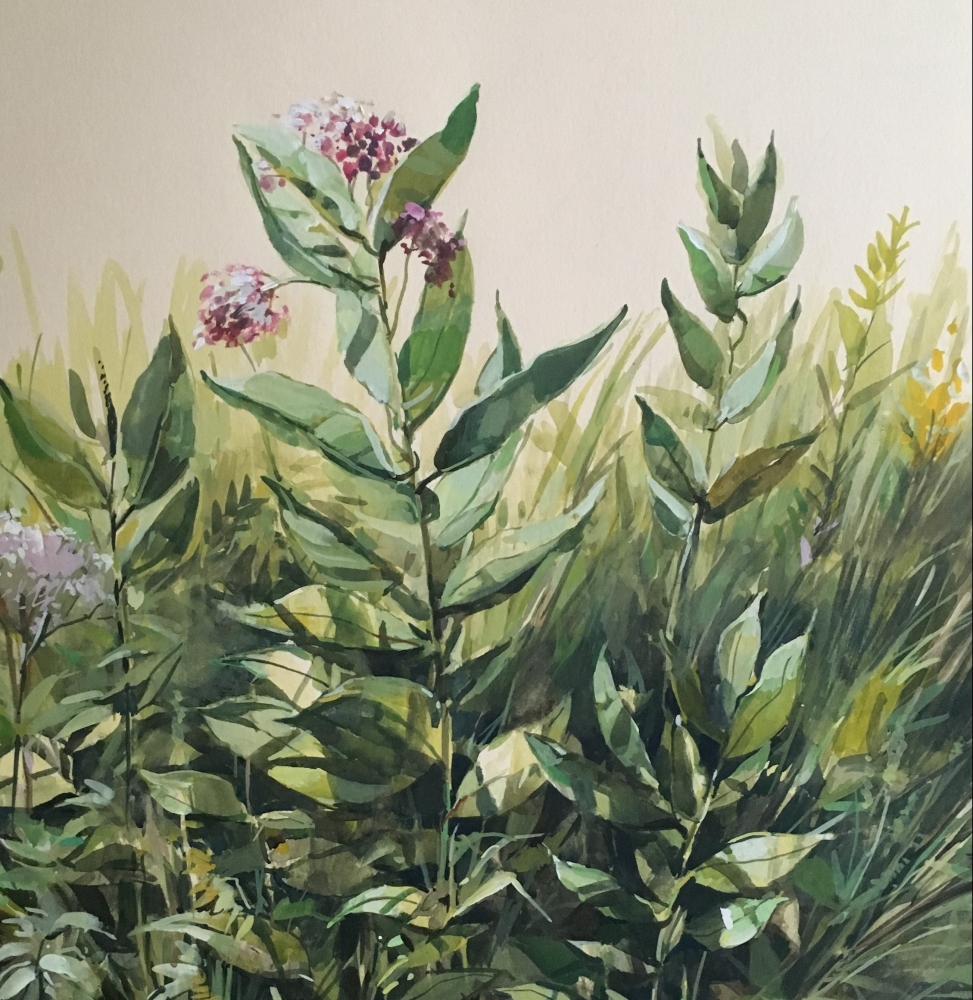 Wild Flowers 22" x 15" Watercolor On Buff