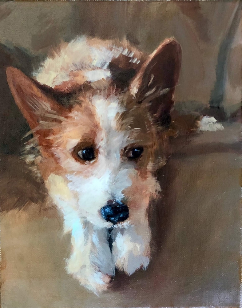 Squirrel, 10" x 8", Oil On Canvas