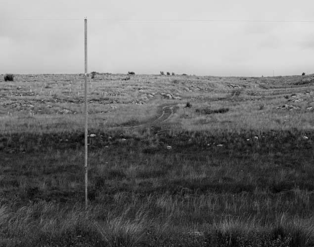 Untitled, 2007 Pigment print