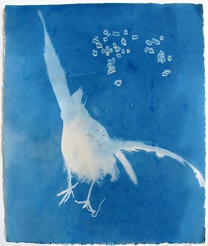 Ofri Cnaani, Blue Print 27, 2012