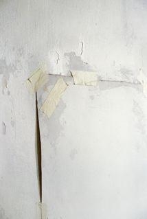 Amy Simon, a different STATE of mind No. 20, 2008-9