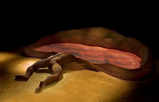 Narcissus, 2007 Interactive Video Installation