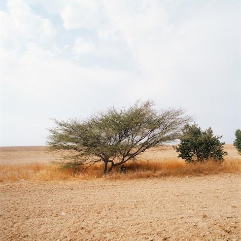 NAOMI LESHEM Itay, from the series Centered, 2012