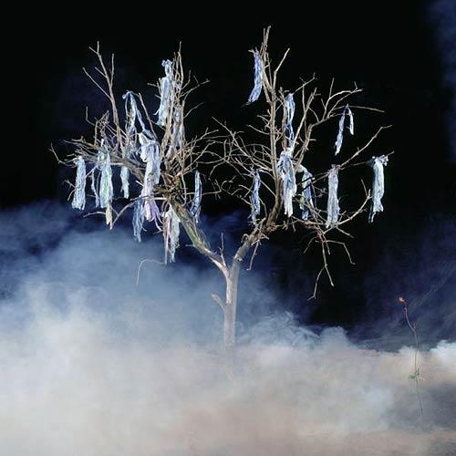Untitled (from the series Awakening), 2005