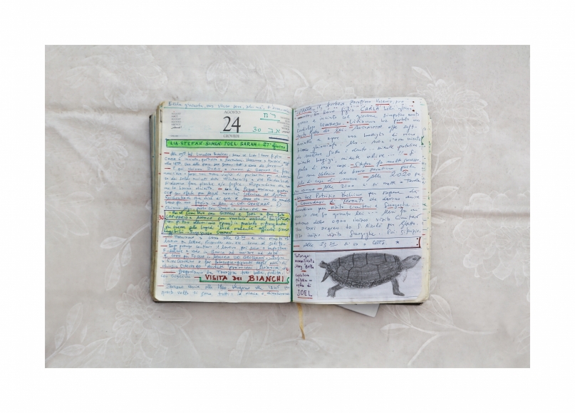 Aldo's Log (Mary Beth) 2017
