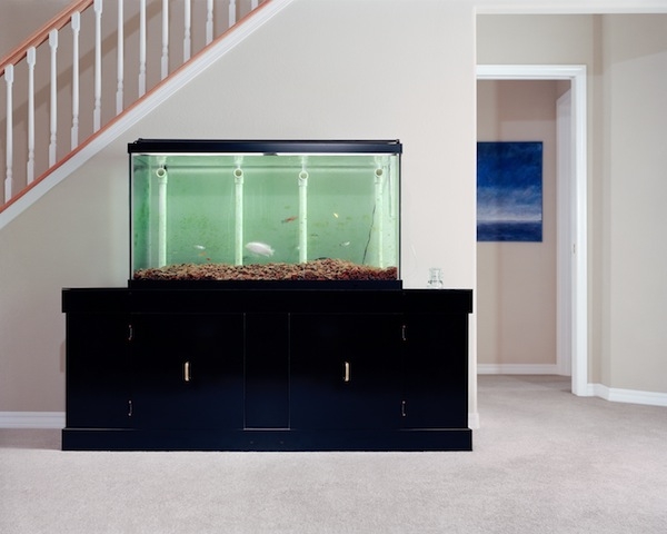 Angela Strassheim, Untitled (Fish Tank), 2005