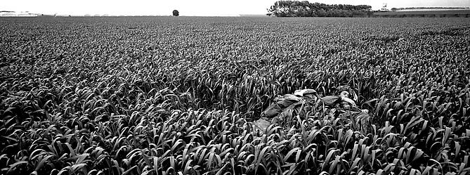 Pavel Wolberg, Gaza Border, 2008