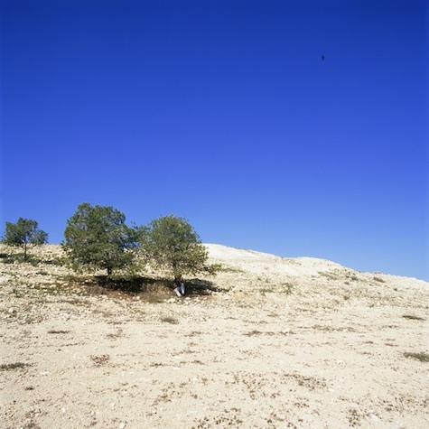 NAOMI LESHEM Daniel, from the series Centered, 2013