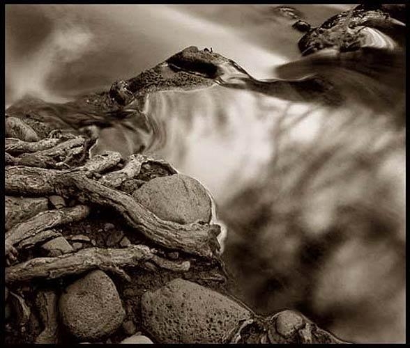 Daniel Tchetchik, Fading Grounds Image #2