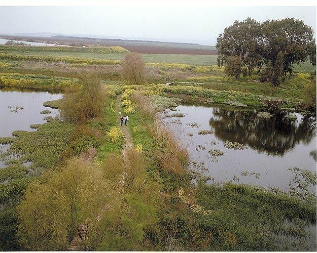 Igael Shemtov, Untitled (Couple Walking), 1999