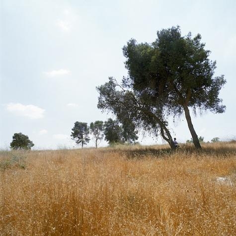 NAOMI LESHEM Raz, from the series Centered, 2012