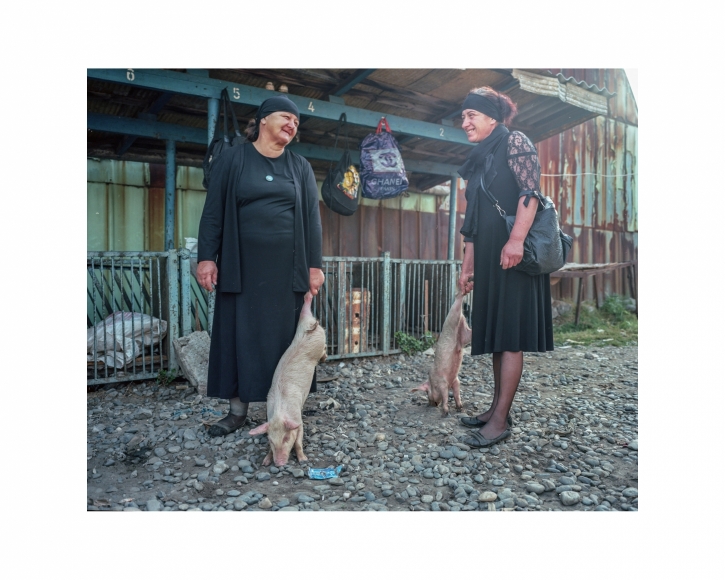 Women and Pigs, 2017
