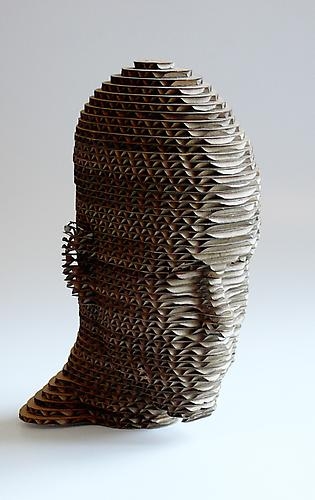 Boy's Head, 2007