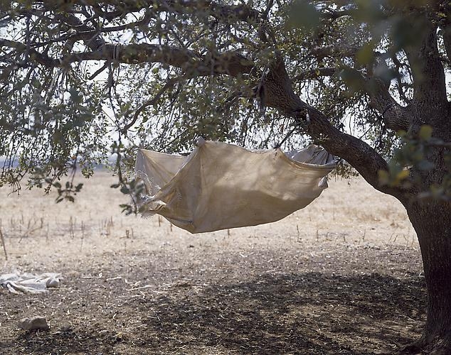 Sharon Ya'ari, Hammock, 2001