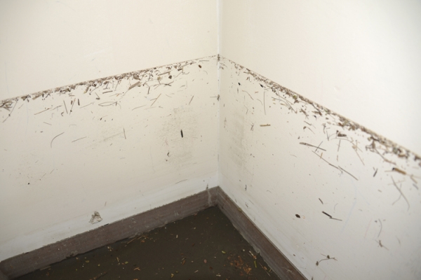 Zoe Strauss, Closet Waterline Post-Sandy. Toms River, NJ. December 4, 2012, Archival Inkjet Print 