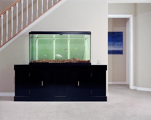 Angela Strassheim, Untitled (Fish Tank), 2005