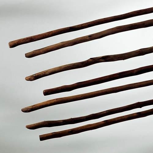 Untitled (from the series Awakening), 2005