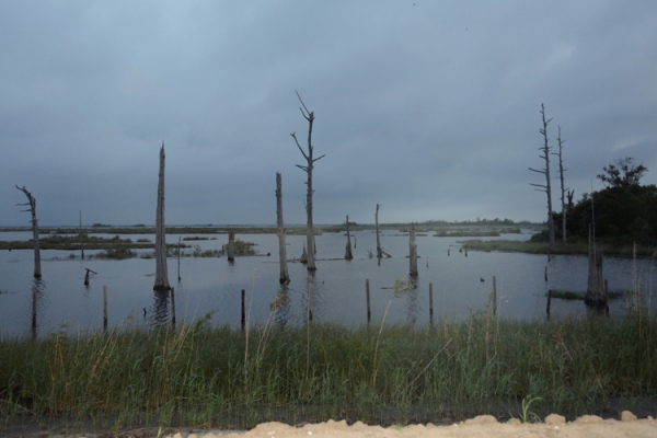 Zoe Strauss, Saltwater Intrusion. Chauvin, Louisiana. June 2016, Archival Inkjet Print 
