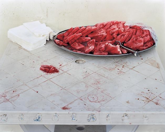Daniel Bauer, Watermelon, 2010